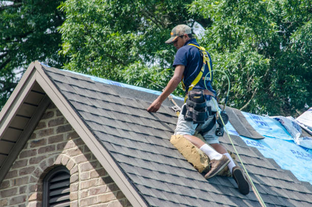 Best Roof Replacement Cost  in Huntingdon, TN
